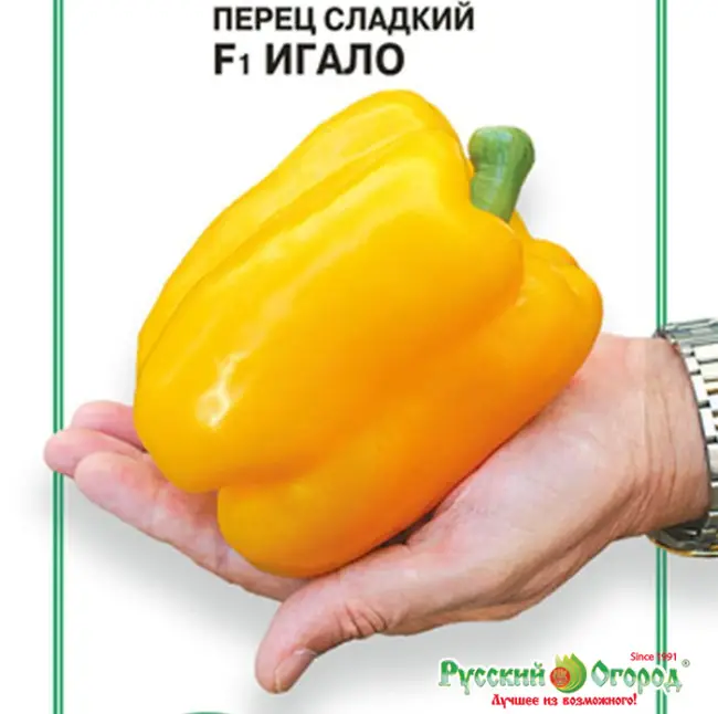 Перец Игало F1: отзывы об урожайности, описание и характеристика сладкого болгарского сорта, фото семян Семко