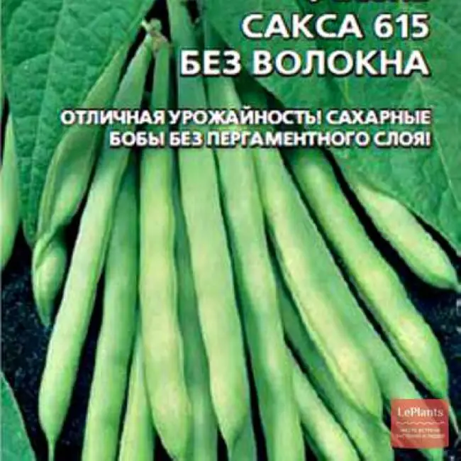 Фасоль московская белая зеленостручная 556 описание сорта —