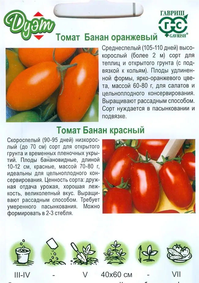 Описание сорта Томат Бананчик. Процесс посадки и ухода за помидорами. Отзывы, фото и видео.