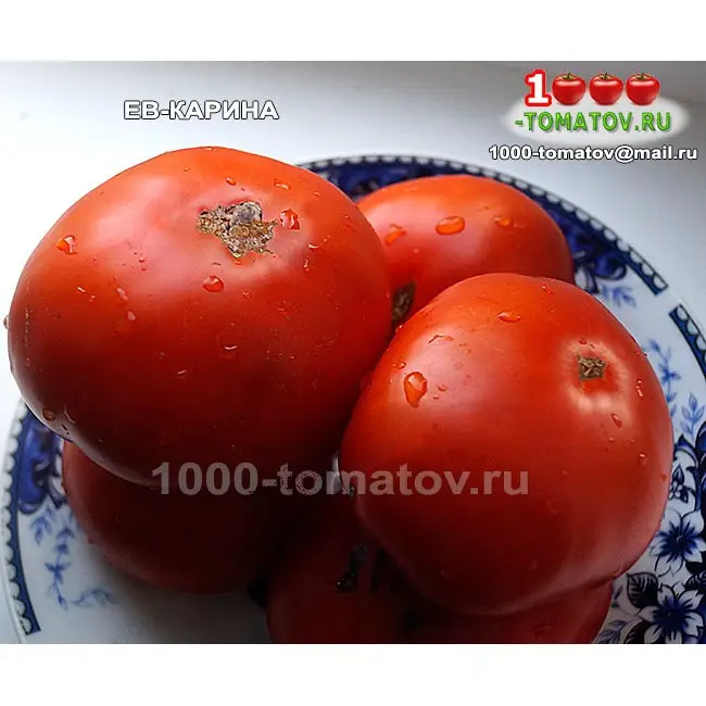 Карина, семена томатов Россия, Приднестровье, Молдова, Украина