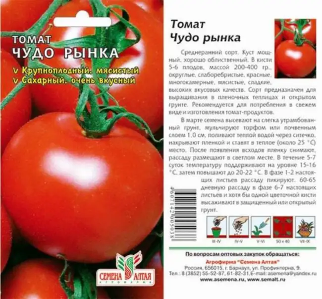 Что представляет собой томат Моравское чудо? Характеристика и описание сорта, его фото, особенности выращивания помидора, урожайность. Отзывы огородников.