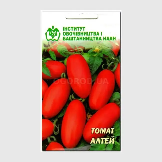 Томат примавера описание сорта — Устойчивые к фитофторе сорта томатов. Фото, описание
