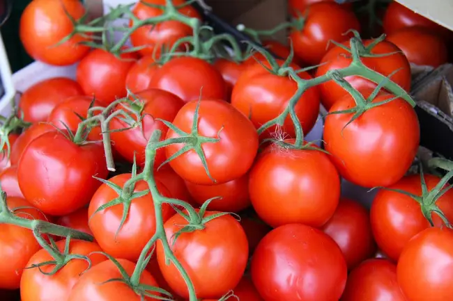 Томат «Ричи» f1: описание сорта и рекомендации по выращиванию помидоры Русский фермер