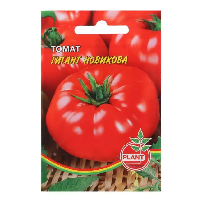 Томат робот описание сорта — Лучшие сорта томатов: описание, характеристика, фото