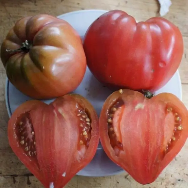 Томат сердечный описание сорта — Сердцевидные томаты: лучшие сорта, особенности выращивания