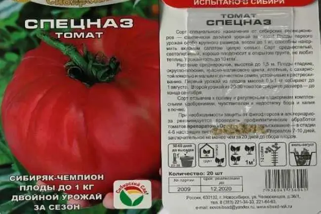 Характеристика и описание сорта томата Союз 8, его урожайность