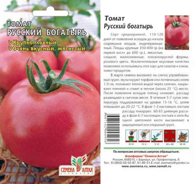 Волшебные свойства сорта томатов Багира