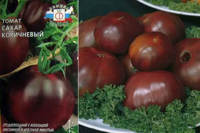 Томат Каскад: описание сорта помидоров, характеристики. Особенности посадки и выращивания, болезни и вредители, достоинства и недостатки