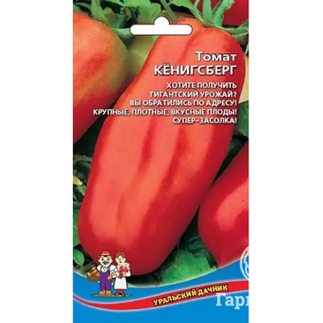 Томат Кенигсберг — как получить от 5 до 20 кг помидоров с 1 кв. метра
