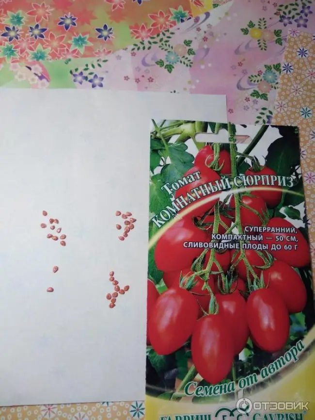 Отзывы и фото о сорте томатов «Комнатный сюрприз» исключительно положительные, но даже при соблюдении агротехники на высокую урожайность рассчитывать не стоит.