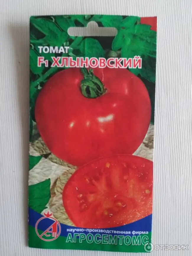 Томат Хлыновский: описание сорта помидоров, характеристики