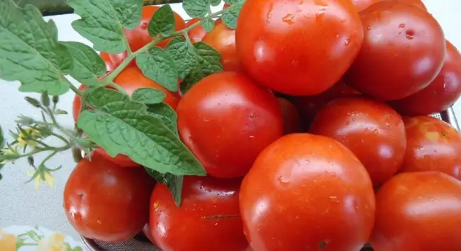 Томат дастархан описание сорта — Как выбрать идеальный сорт томатов? | Lifestyle | Селдон Новости