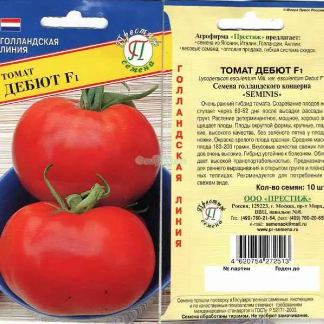 Томат Дачный любимец: характеристика и описание сорта, отзывы об урожайности помидоров, фото растения
