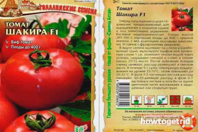 Томат бамбини описание сорта — Как выбрать идеальный сорт томатов? — Ботаничка