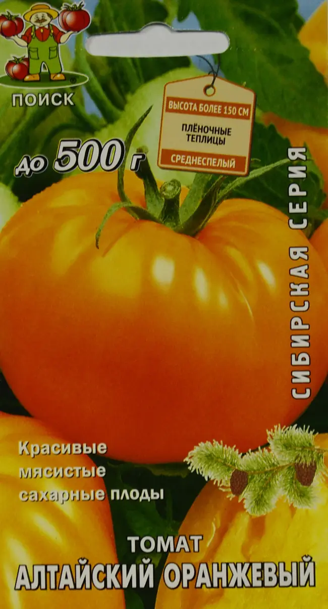 Томат Алтайский оранжевый: описание и характеристика сорта