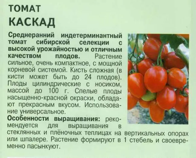 20+ лучших сортов томатов: каскадные новинки и горшечные хиты