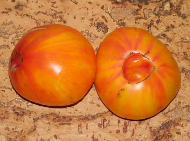 Характеристика и описание томата «Большой полосатый кабан»