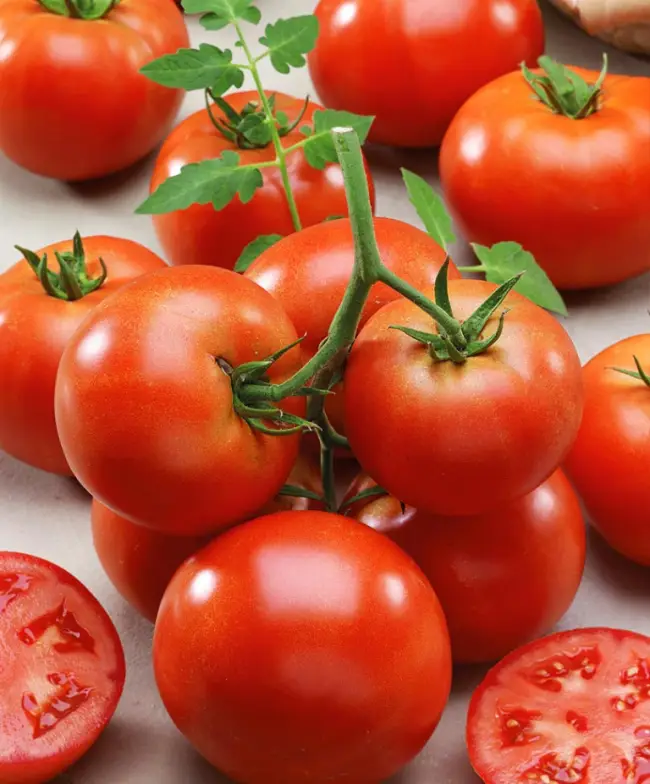 Томат Алтайский жёлтый: характеристика сорта с фото, урожайность при выращивании, отзывы о помидорах