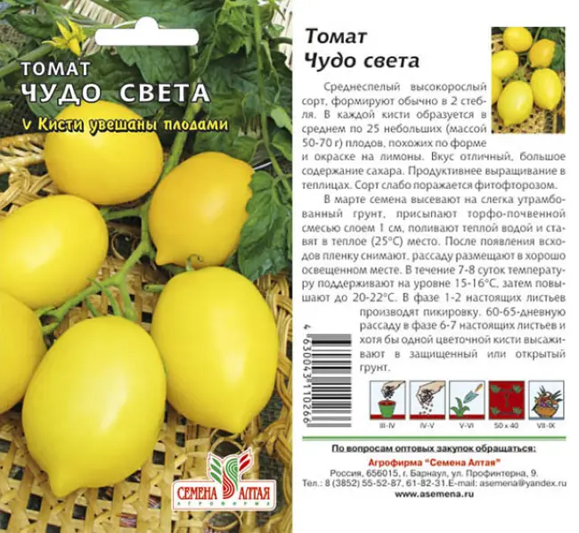 Оранжевые плоды оригинальной формы — томат Лимончик: полное описание сорта