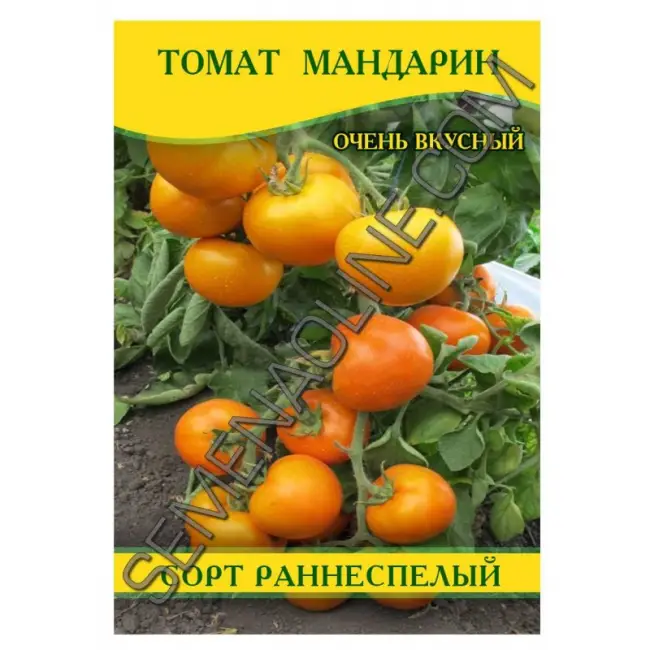 Томат Мандаринка: характеристика и описание сорта, урожайность с фото