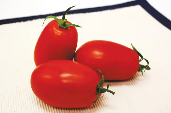 Описание сорта томата Марианна F1, его характеристика и урожайность