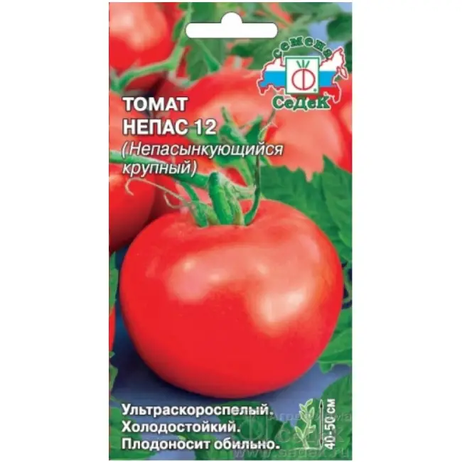 Что такое непасынкующиеся томаты — какой сорт лучше выбрать, как и где выращивать, и какие получатся плоды; отзывы тех кто уже сажал