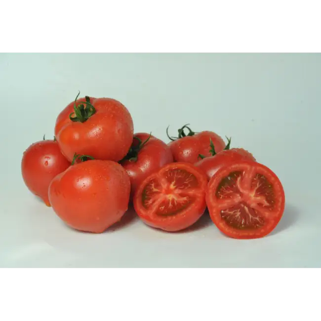 Томат пантера описание сорта — #гавришпроф, #семенагавриш, #бизнессемена, #бизнеснаовощахСбалансированный и неприхотливый гибрид томата. Плоды имеют привлекательный внешний вид, долго хран…