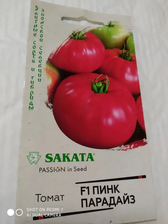 Подробное описание бесподобных томатов Пинк Самсон F1, а также их характеристики. Узнайте как отзываются опытные садоводы об урожайности помидоров и взгляните на фото растения.