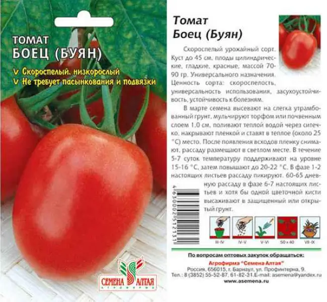 Сорта томатов Сливка