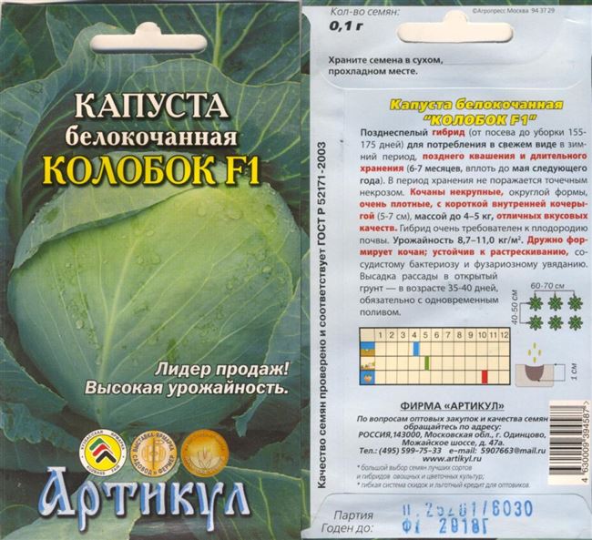 Капуста Колобок f1: описание и характеристика гибрида, фото белокочанной, отзывы об урожайности сорта, когда лучше убирать