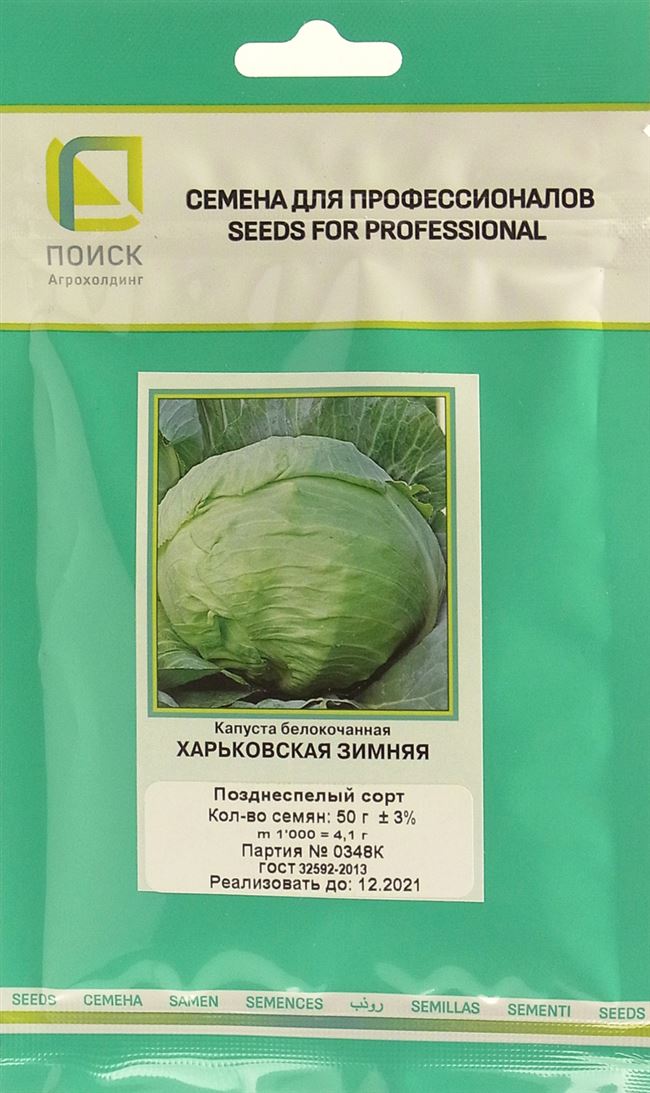 Описание сорта капусты Харьковская зимняя, особенности выращивания и ухода