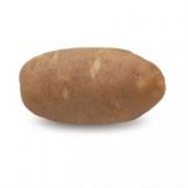 Сорт картофеля «Айвори Рассет (Ivory Russet)»: описание и фото