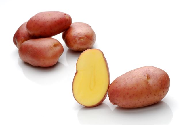Характеристика картофеля сорта Ароза