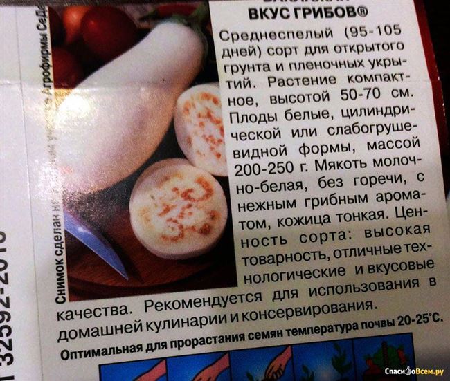 История и описание сорта баклажанов Вкус грибов