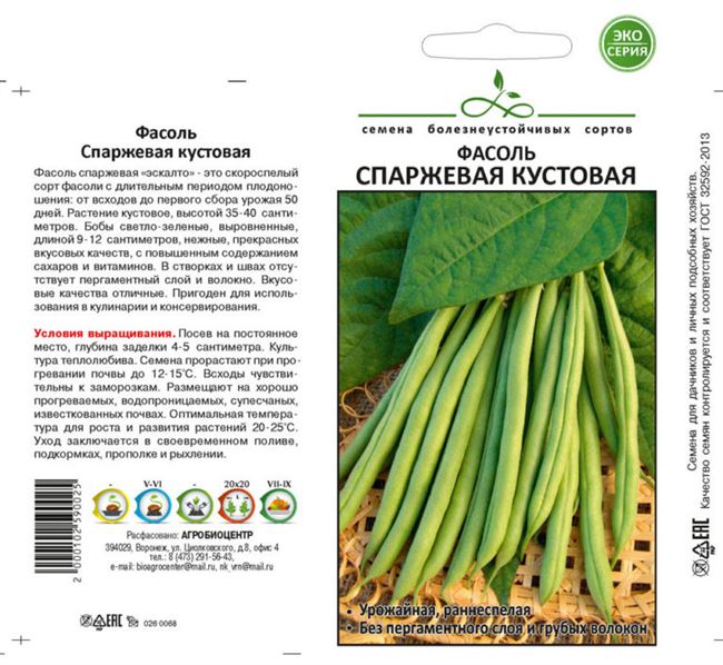 Сроки посадки семян бобов в открытый грунт