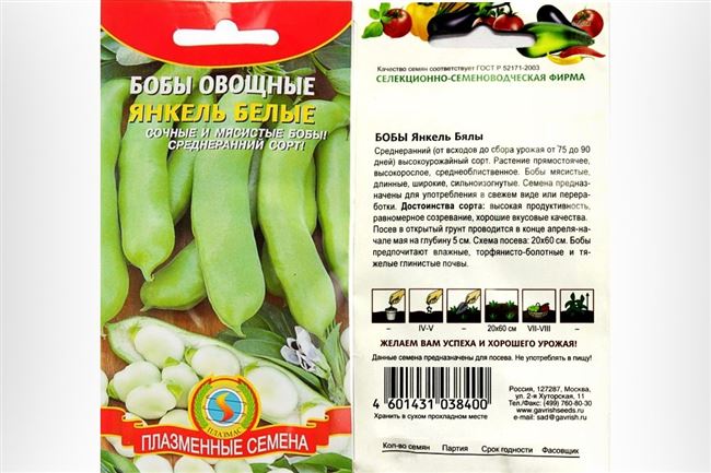Хранение бобов