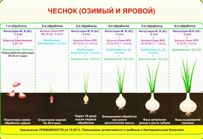 Про овощи - технология выращивания, агротехника, советы,отзывы