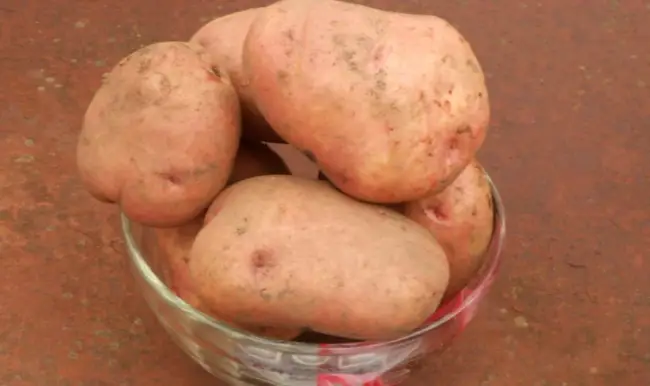 Описание сорта картофеля Ермак