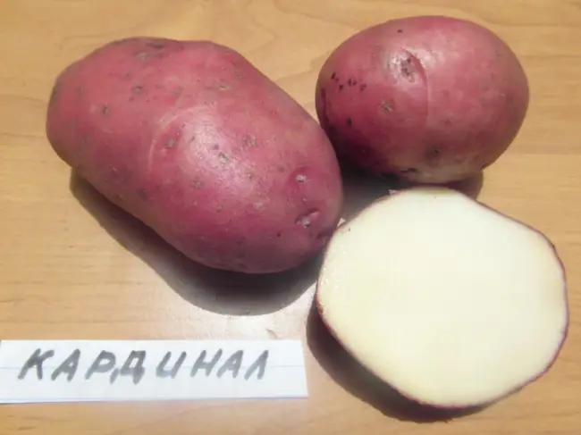 Посадка картофеля Нандина