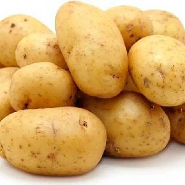 Описание сорта картофеля Тимо
