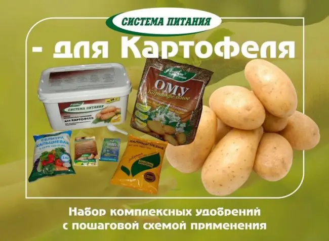 Народные средства для подкормки картофеля