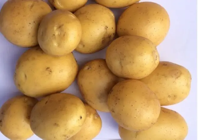 Характеристика картофеля сорта Наташа