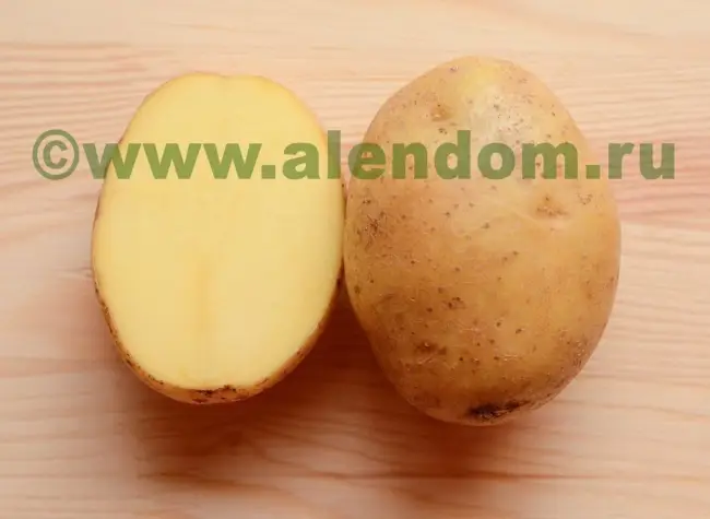 Описание сорта картофеля Яна