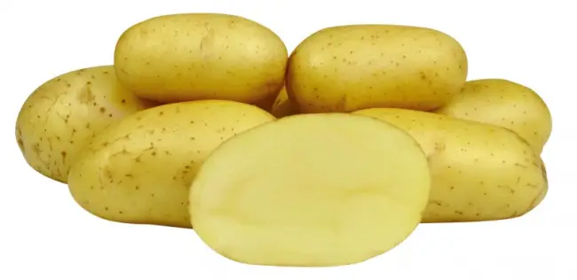 Сорт картофеля Волжанин - фото, описание, характеристики