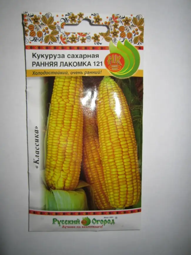 
Характеристика кукурузы НК Термо