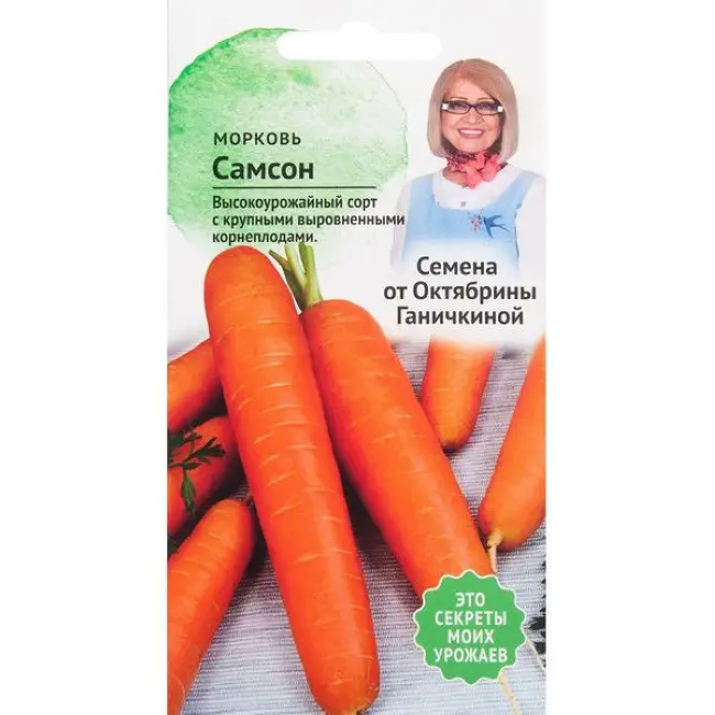 Описание сорта моркови Самсон