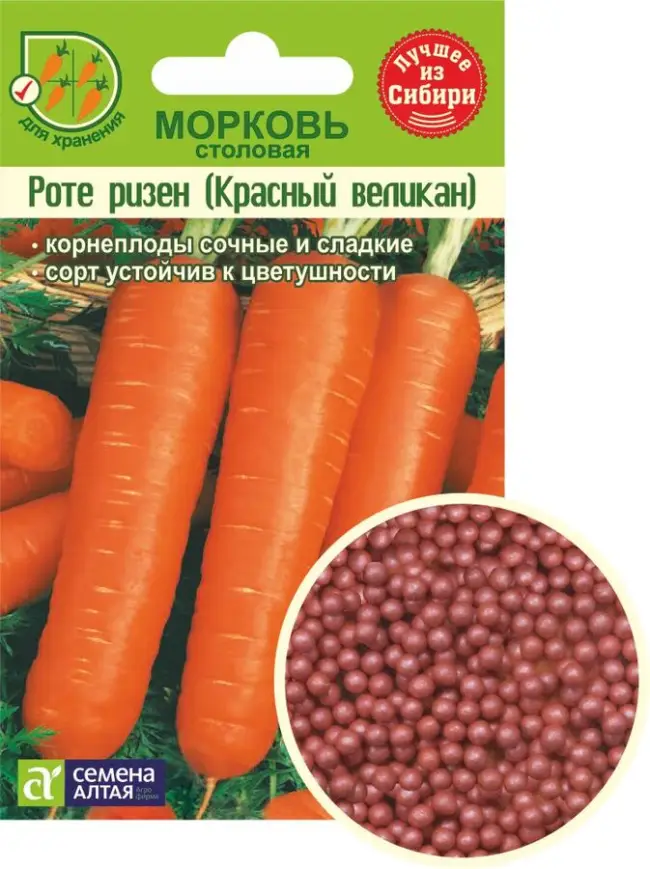 Особенности выращивания и ухода за морковью Берликум Роял