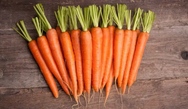 Посадка моркови