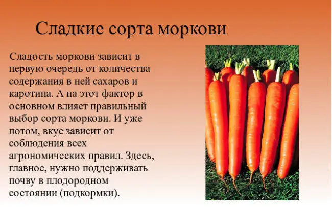 Посадка моркови Карамелька