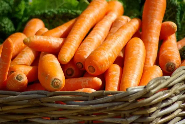 Описание моркови